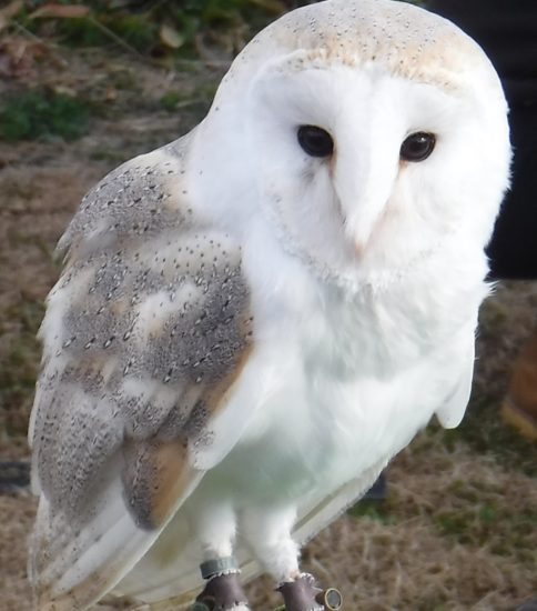 今年のイベントについて