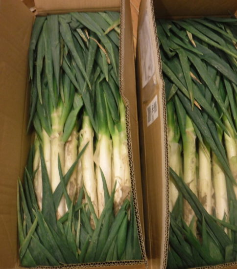 プロジェクト様より