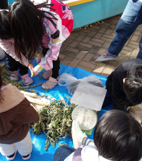 たくわんづくり第二弾