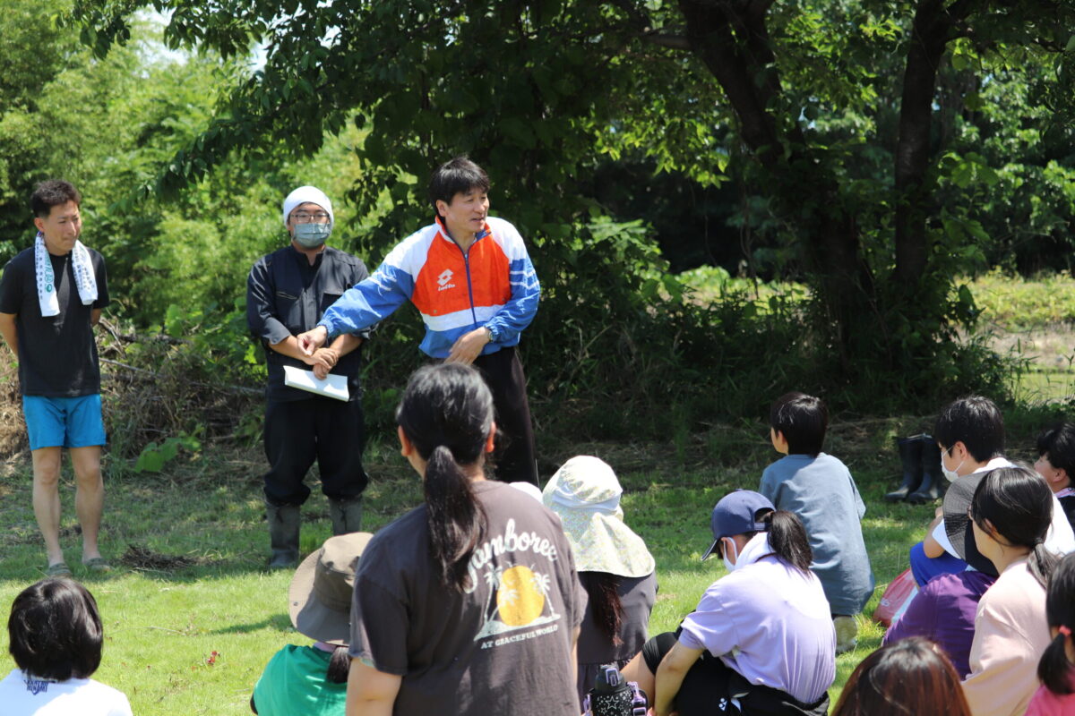 田植えをしました